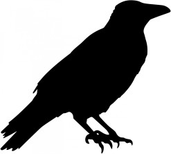 crow-vector-silhouette